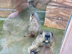 -雪浪山卡丁车俱乐部