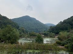 -桃花岭景区