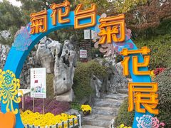 -菊花台公园
