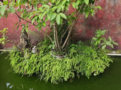 -龙泉洞(沙坪坝区)