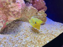 -上海海洋水族馆