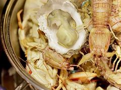 海鲜类-凯悦·东方公主号 全球海鲜自助餐厅(凯丹广场店)