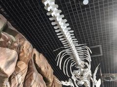 -华夏文旅西安度假区