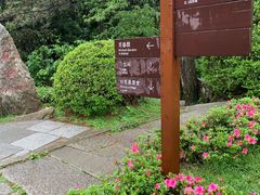 -庐山风景区花径公园