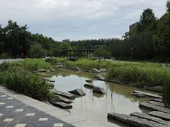 -大望京公园