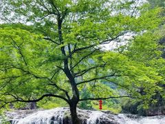 -刘伯温故里景区百丈漈