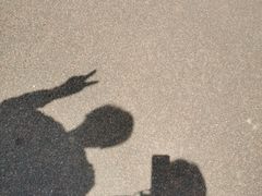 -苏州东太湖生态园