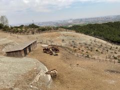 -大青山野生动物园