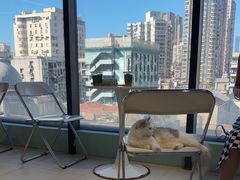 -怪兽屋·羊驼·猫咖·狗咖(俊华广场店)