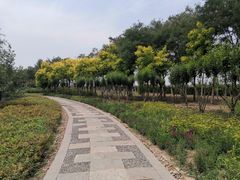 -东疆建设开发纪念公园