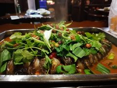 -壹生壹世·农家烤鱼