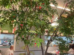 -Aqua Oasis 水天堂(太湖中心mall店)