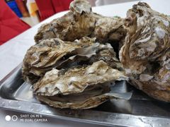 -渔民船说·北塘海鲜·天津菜·海肠捞饭(北塘古镇店)
