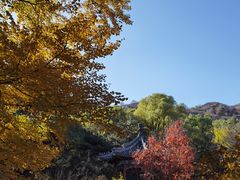 -香山公园