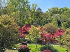 -牛首山文化旅游区