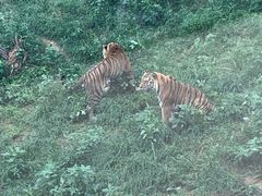 -大连森林动物园