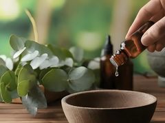 -道合堂·中式按摩·spa(民治店)