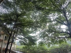 -广东外语外贸大学(白云山校区)