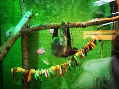 -北京野生动物园