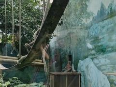 -成都动物园