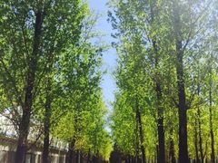 iphone_upload_pic-顺鑫绿色度假村