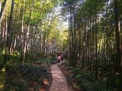 -南山风景名胜区