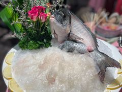 黑鲷鱼-行家海鲜火锅酒家(静安寺店)