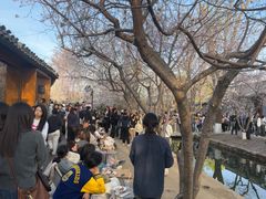 -春风习习