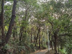 -大雁山风景区