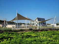 -天津东丽湖风景区