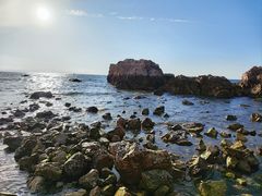 -养马岛旅游度假区