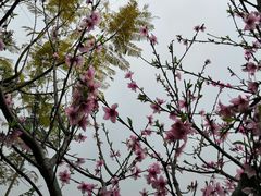 -重庆彩云湖湿地公园