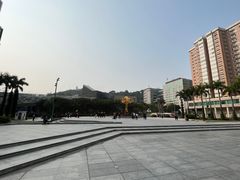 -金莲花广场