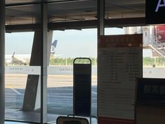 -合肥新桥国际机场-航站楼