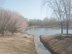 -北坞公园