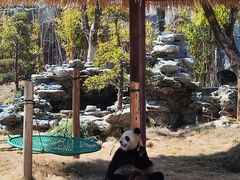 -杭州野生动物世界