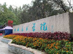 -黄桷坪涂鸦艺术街