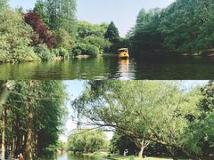 -上海共青森林公园