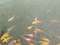 -郑州方特梦幻王国