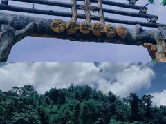 -西双版纳原始森林公园