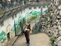 景点-成都动物园