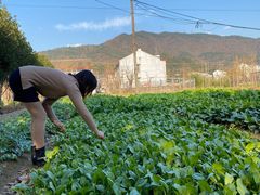 -章水镇文体中心