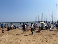 -碧海金沙