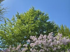 -建国门(地铁站)