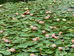 -白鹭湾湿地公园