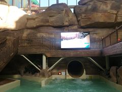 -杭州开元森泊度假乐园