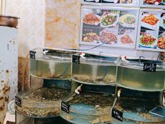 -鑫渔港海鲜本地菜·山海关浑锅(东戴河店)