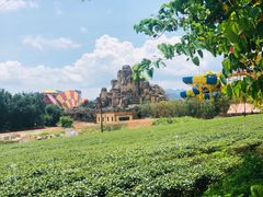 -美的鹭湖探索王国