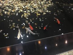 -老六杀猪菜(进乡街店)