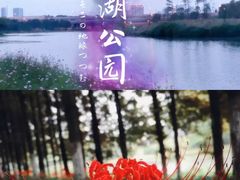 -白鹭湾湿地公园